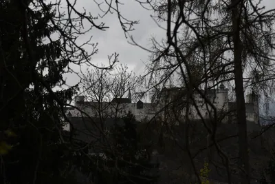 DSC_7029 (Large).JPG